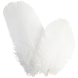 Höyhenet, 5-8 cm, valkoinen, 3g/ 1 pkt