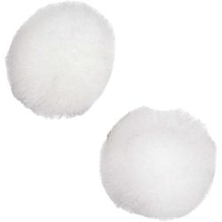 Pompomit