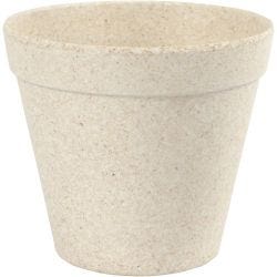 Kukkaruukku