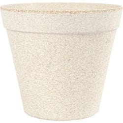 Kukkaruukku