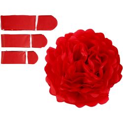 Pompomit