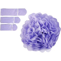 Pompomit