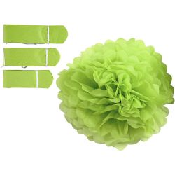 Pompomit