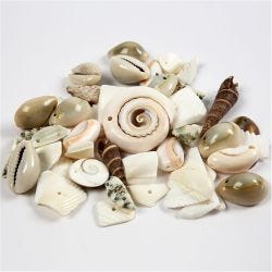 Rantasimpukat, koko 9-40 mm, aukon koko 1-1,5 mm, 120 g/ 1 pkt