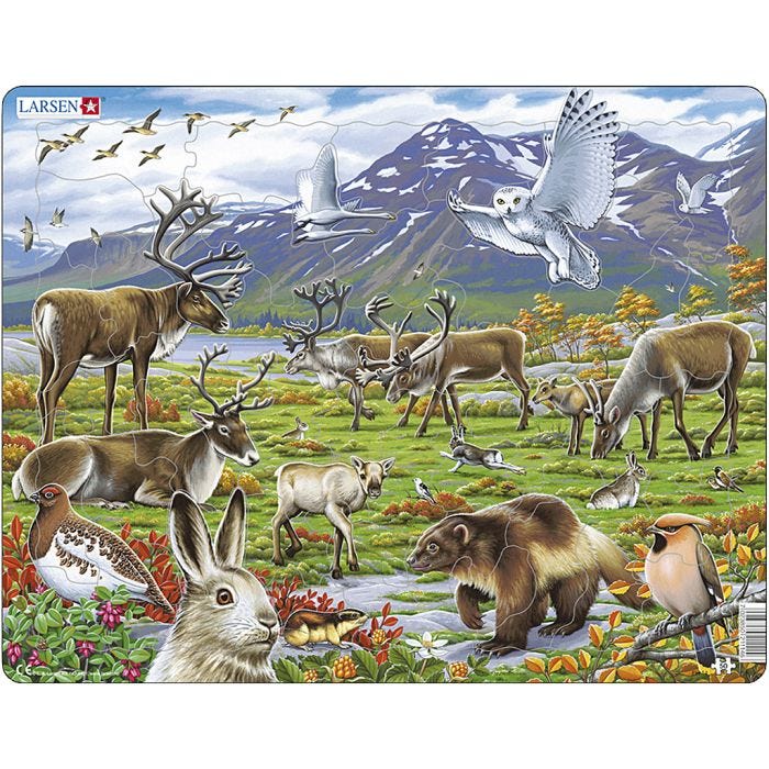 Palapeli, koko 28,5x36,5 cm, 50 kappaletta, 1 kpl