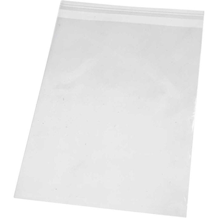 Sellofaanipussilajitelma, Kork. 25,3 cm, Lev: 18 cm, paksuus 25 my, 20 kpl/ 1 pkt