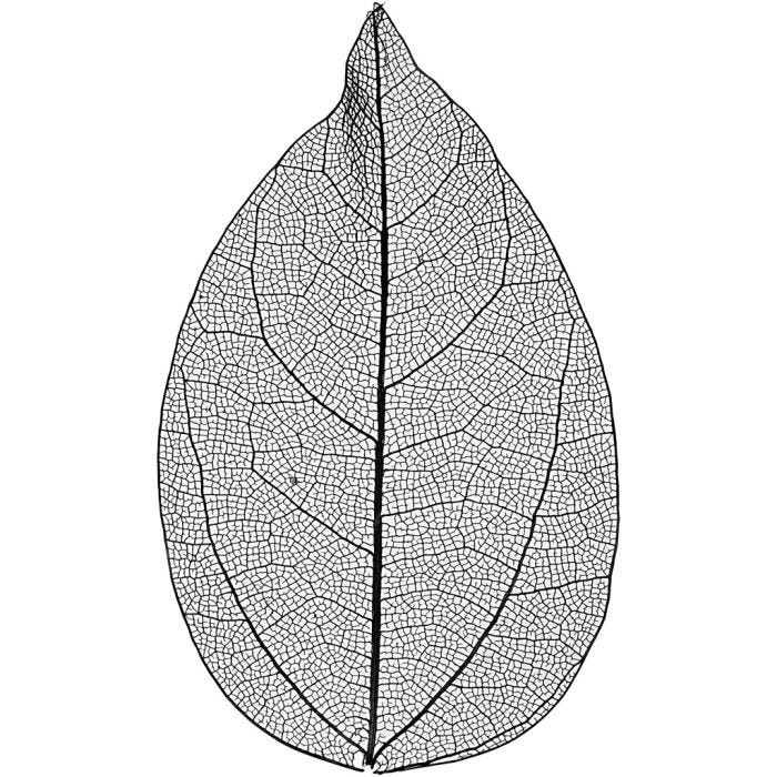 Kuivatut lehdet, Pit. 6-8 cm, musta, 20kpl/ 1 pkt