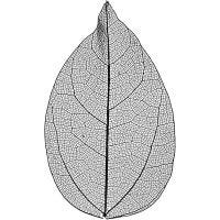 Kuivatut lehdet, Pit. 6-8 cm, musta, 20 kpl/ 1 pkk