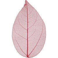 Kuivatut lehdet, Pit. 6-8 cm, punainen, 20 kpl/ 1 pkk