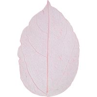 Kuivatut lehdet, Pit. 6-8 cm, vaaleanpunainen, 20 kpl/ 1 pkk